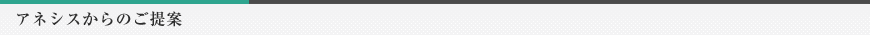 アネシスからのご提案