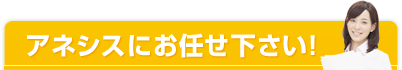 アネシスにお任せ下さい!